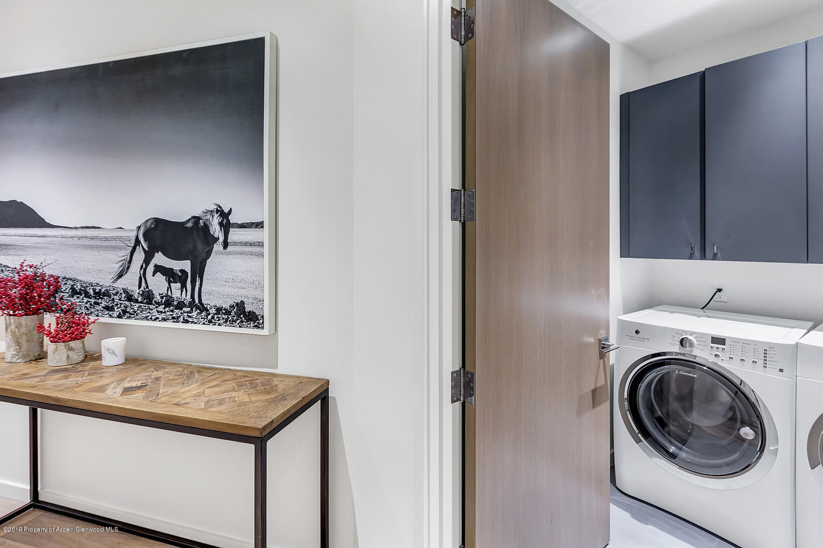 1098 E Waters Avenue Aspen CO 81611