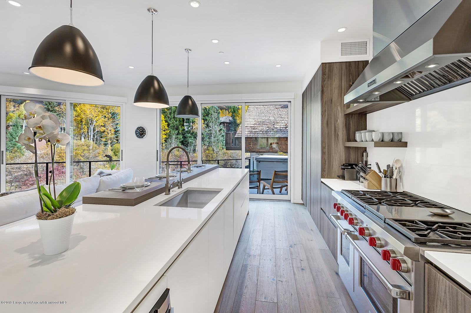 1098 E Waters Avenue Aspen CO 81611