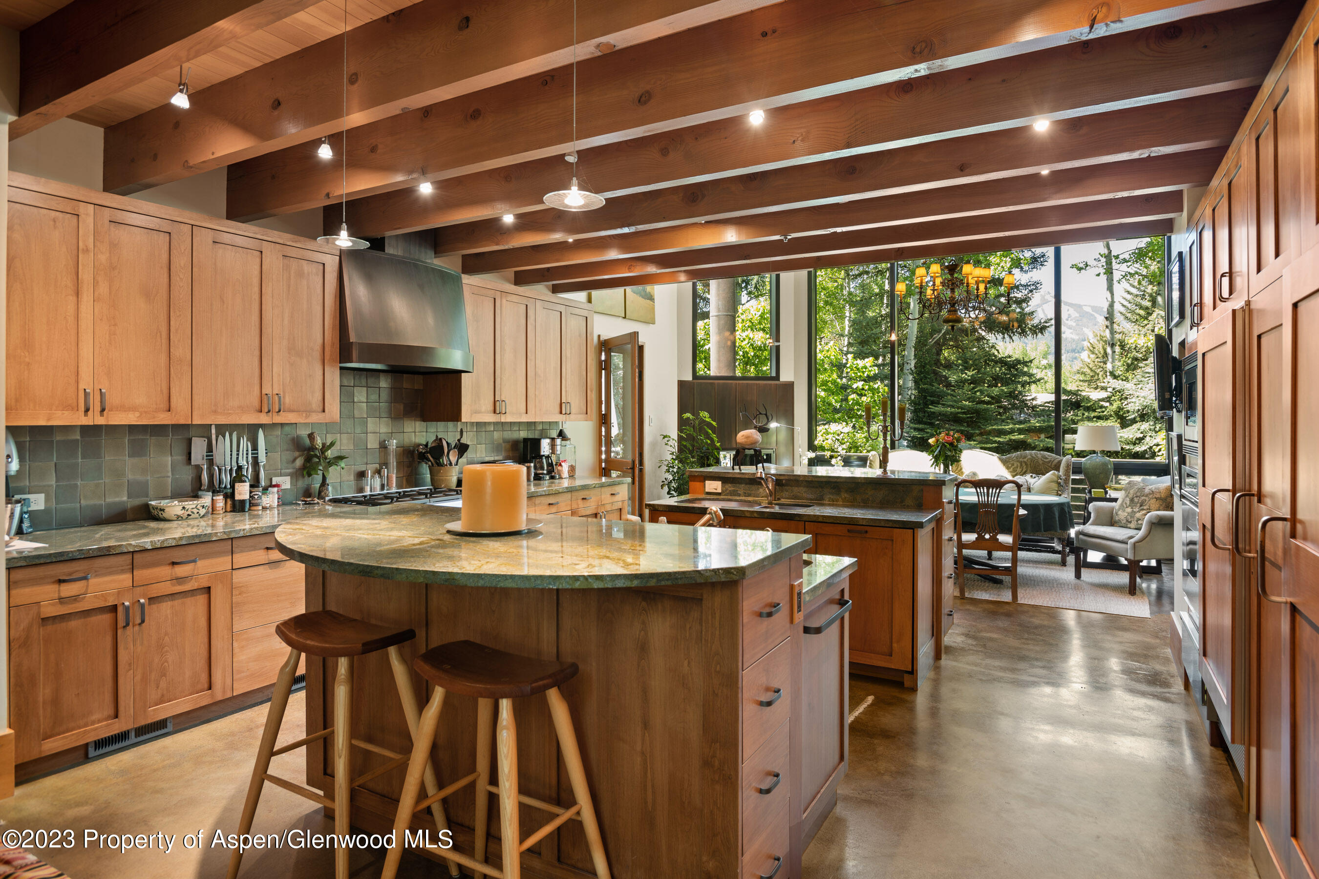 1575 Silver King Drive Aspen CO 81611