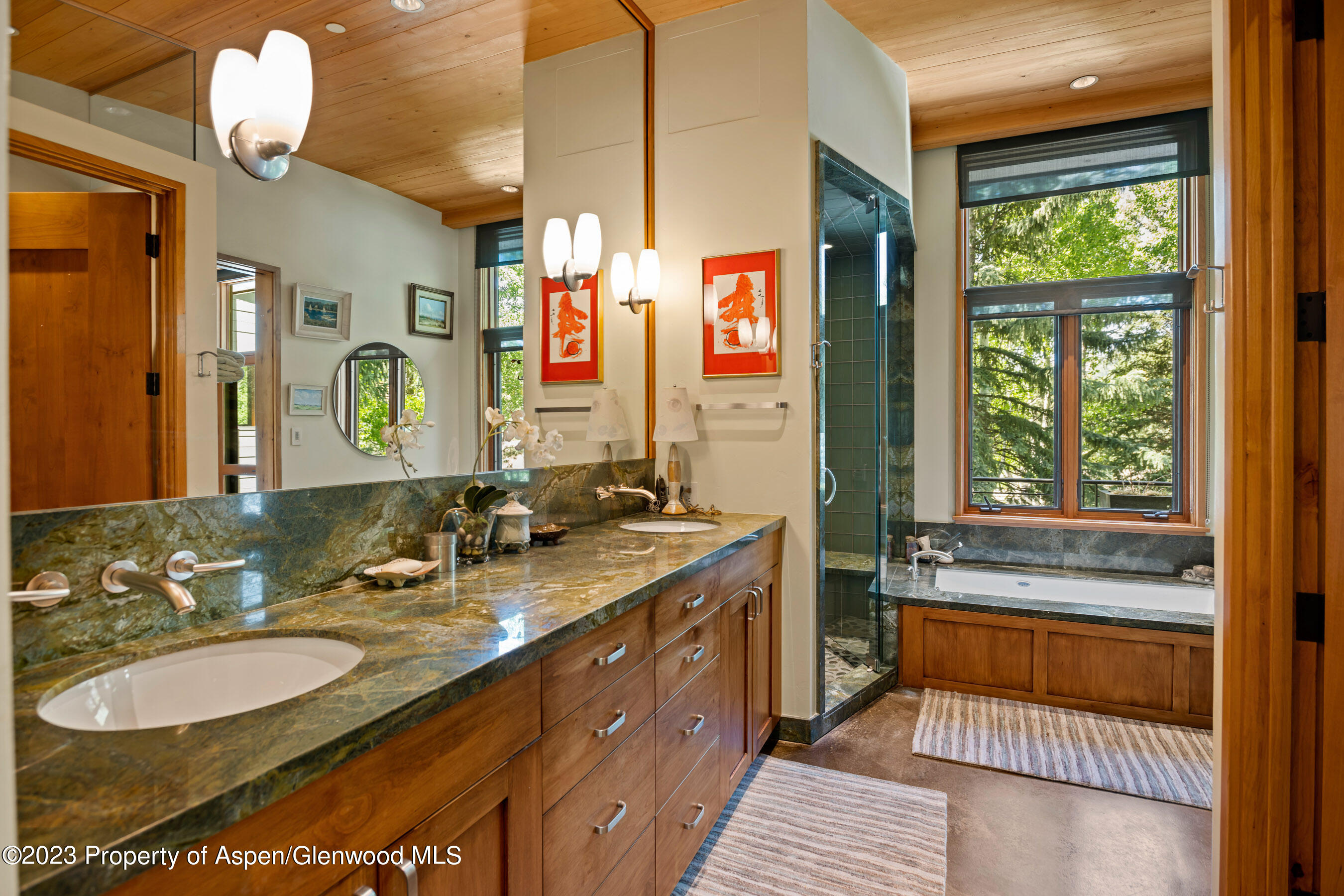 1575 Silver King Drive Aspen CO 81611