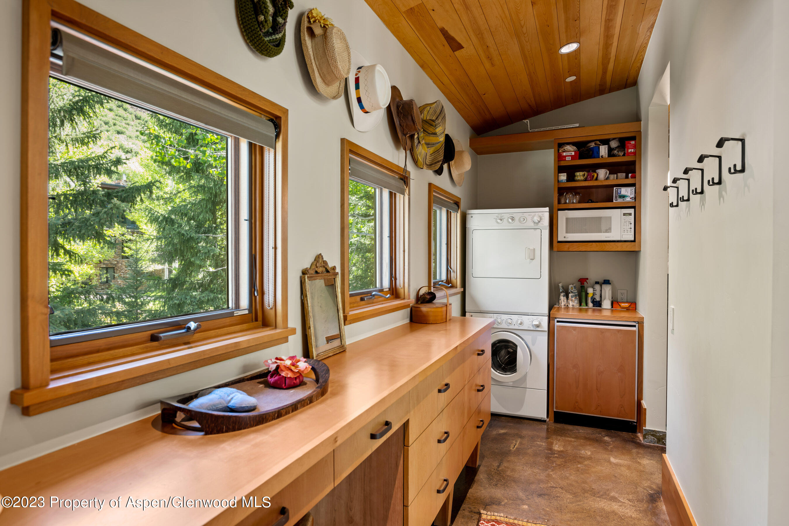 1575 Silver King Drive Aspen CO 81611