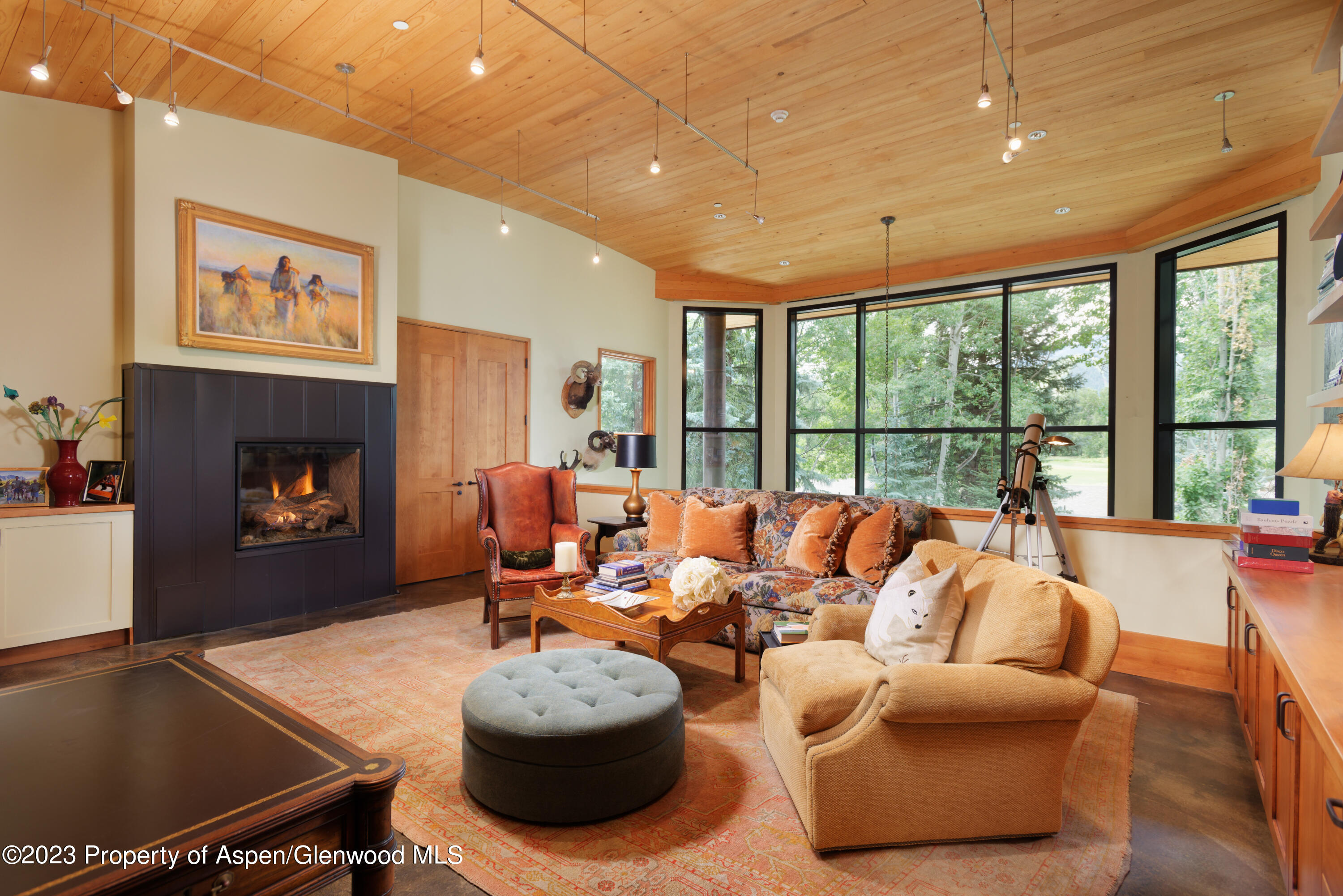 1575 Silver King Drive Aspen CO 81611