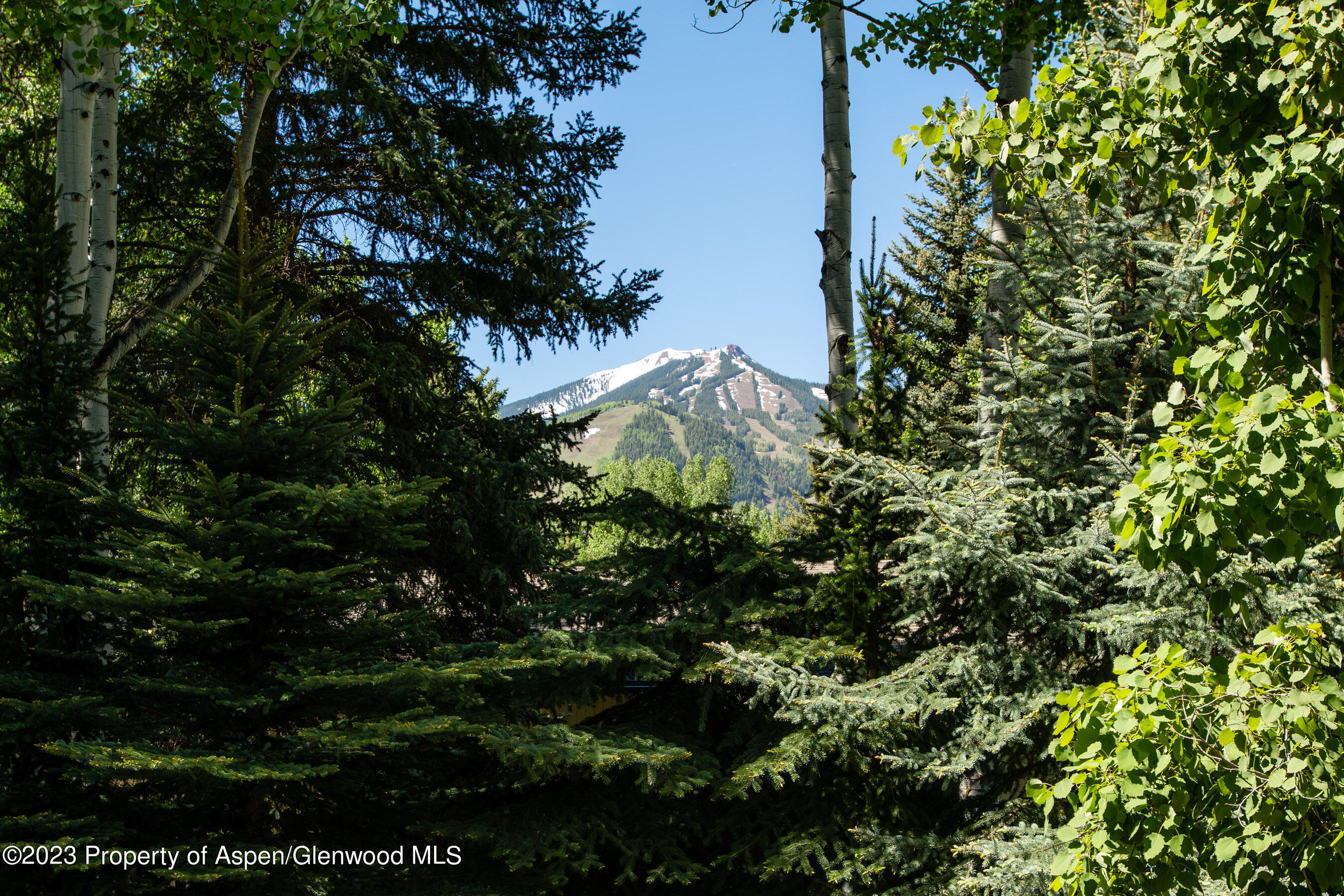 1575 Silver King Drive Aspen CO 81611