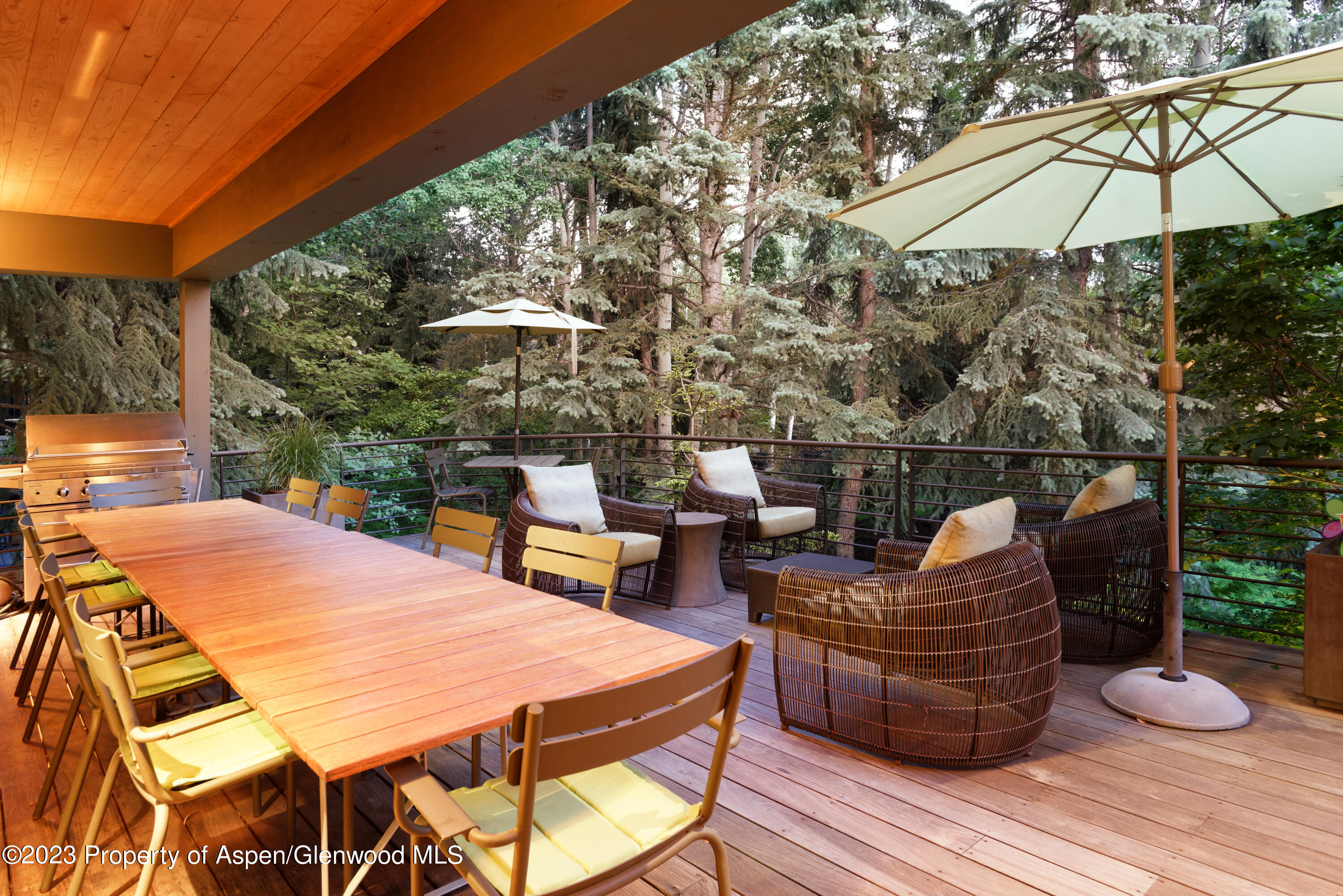 1575 Silver King Drive Aspen CO 81611