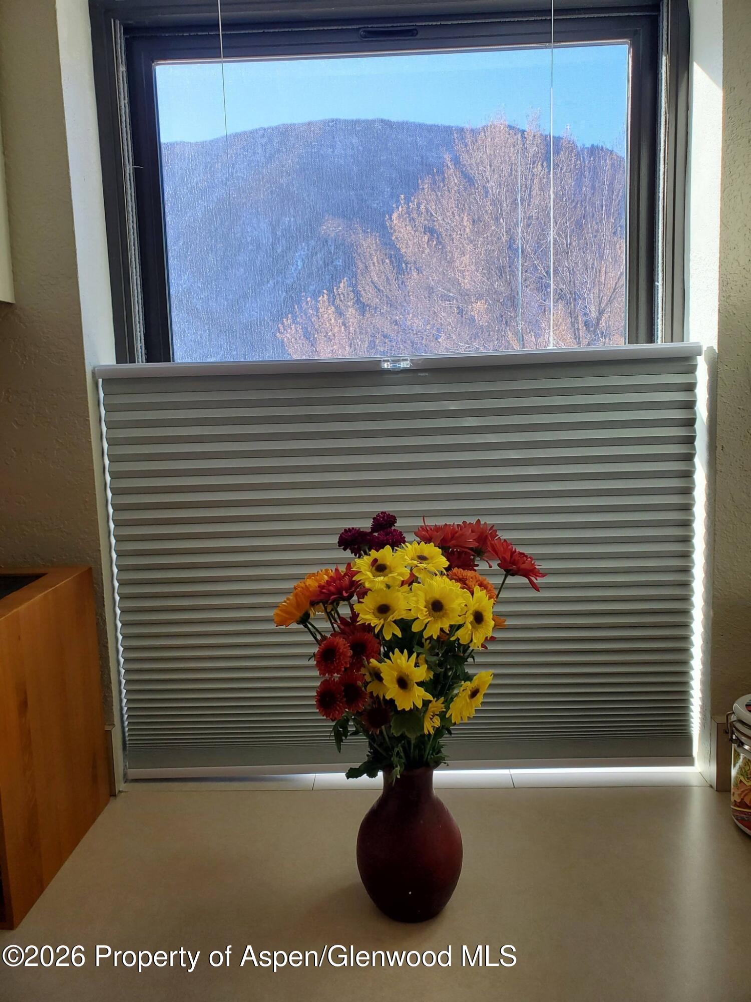 2015 Blake Avenue Glenwood Springs CO 81601