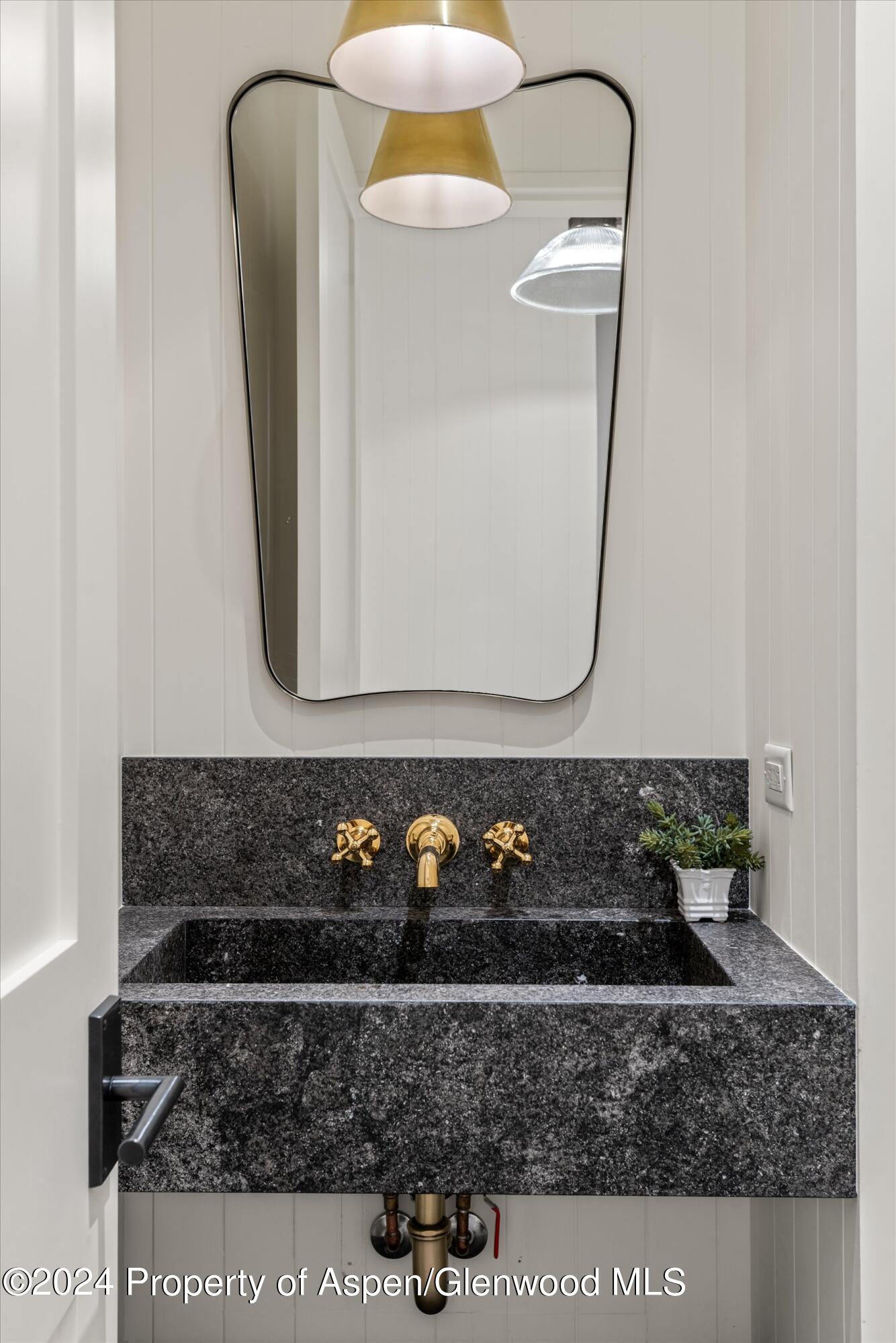 134 E Bleeker Street Aspen CO 81611