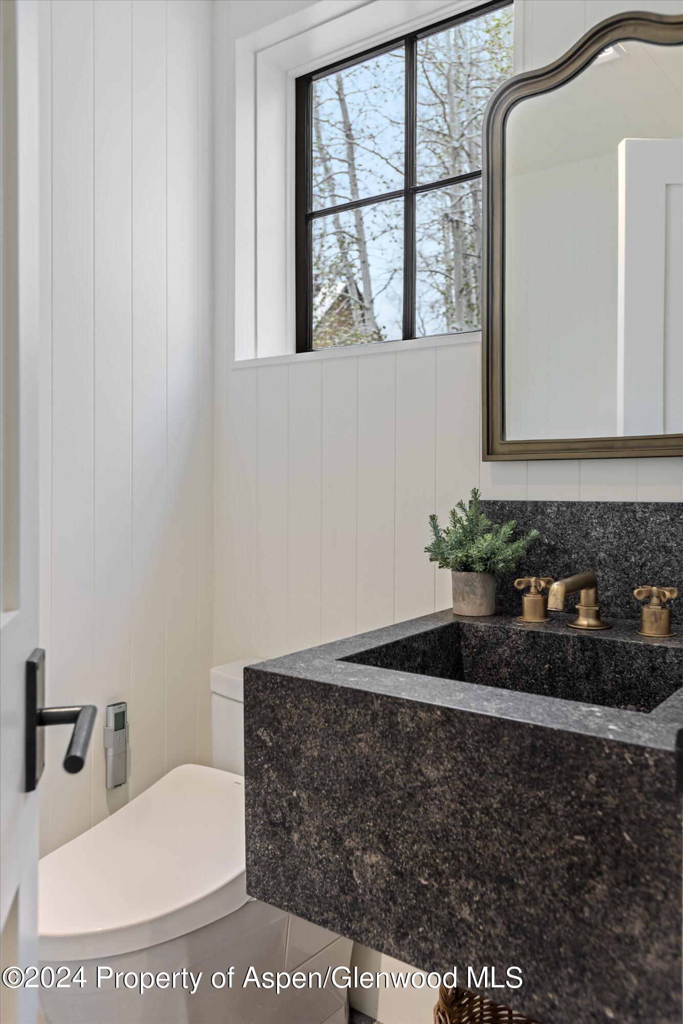 134 E Bleeker Street Aspen CO 81611