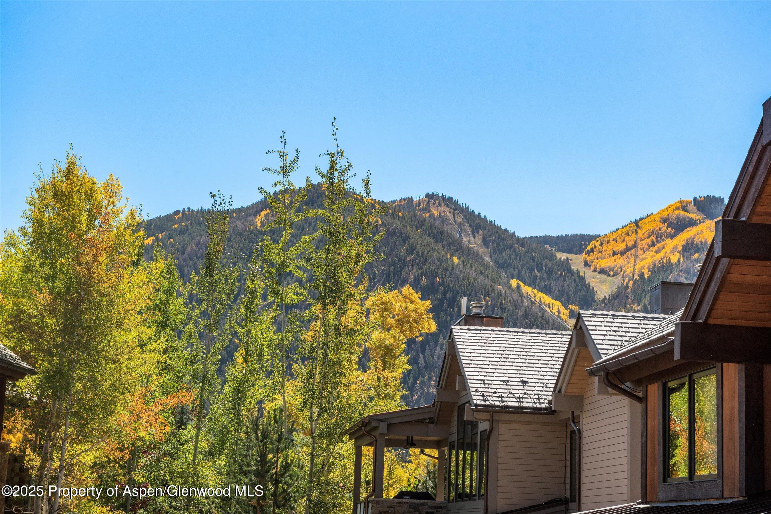 543 Walnut Street Aspen CO 81611