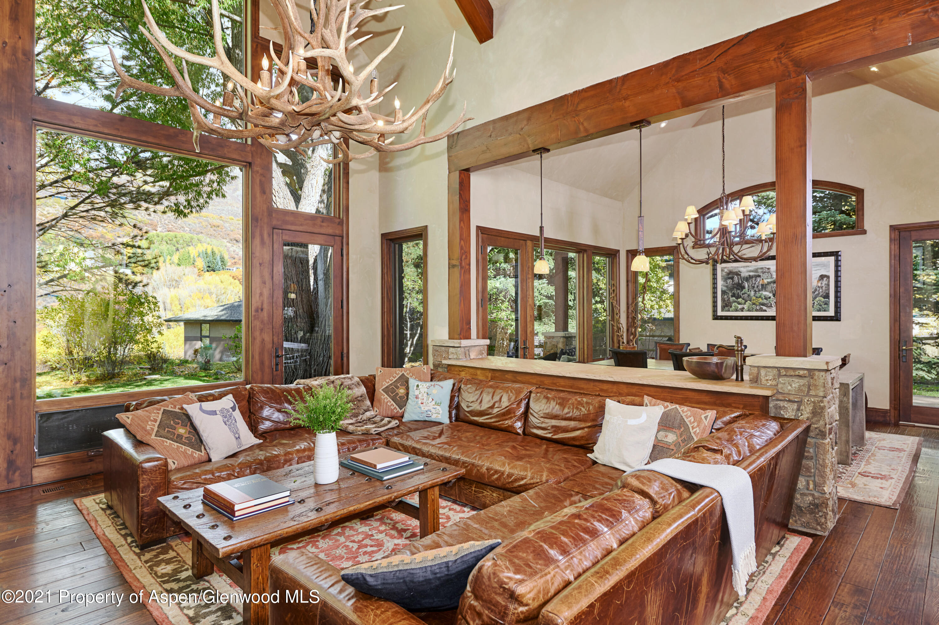 1232 Mountain View Drive Aspen CO 81611