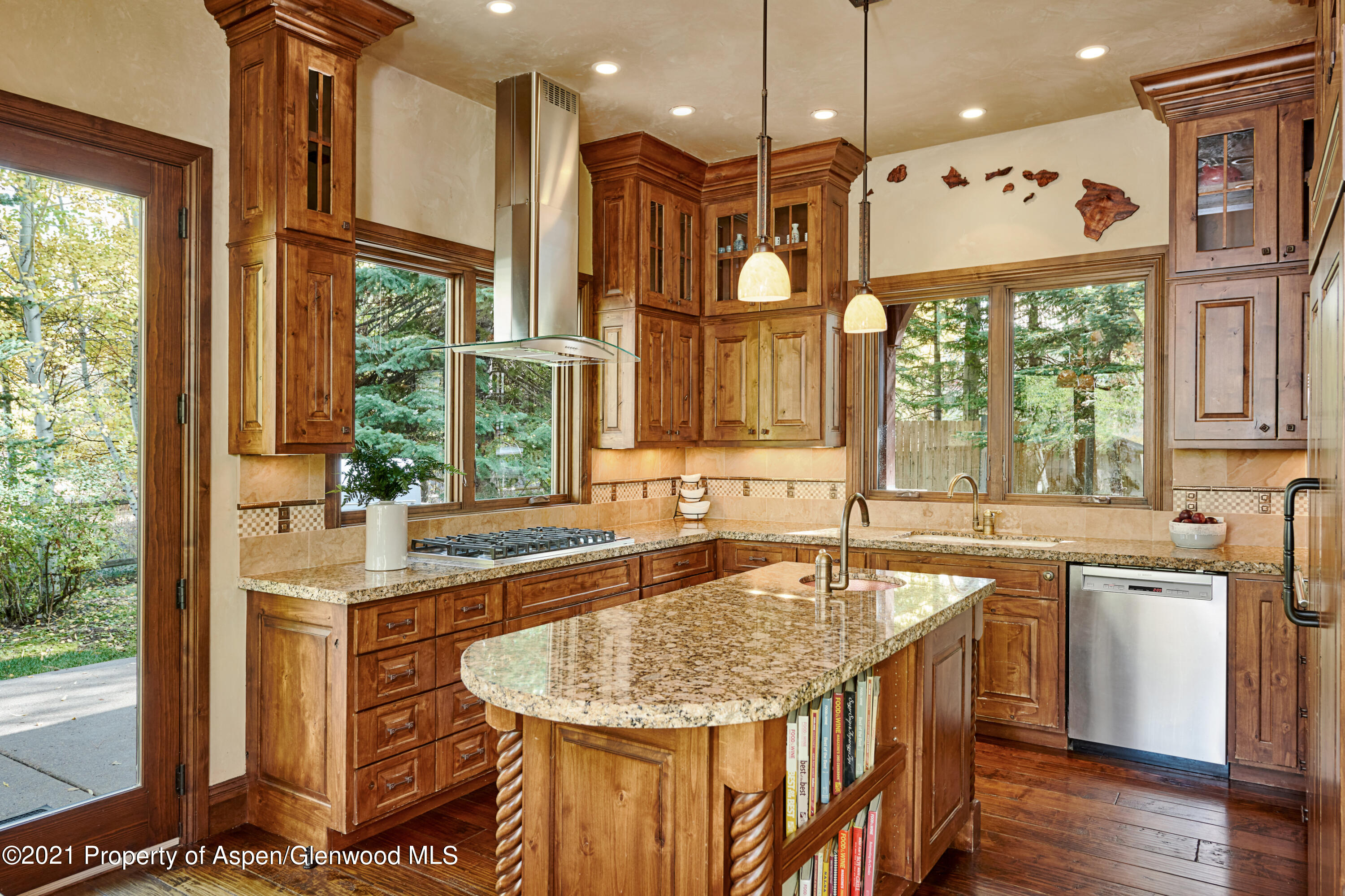 1232 Mountain View Drive Aspen CO 81611