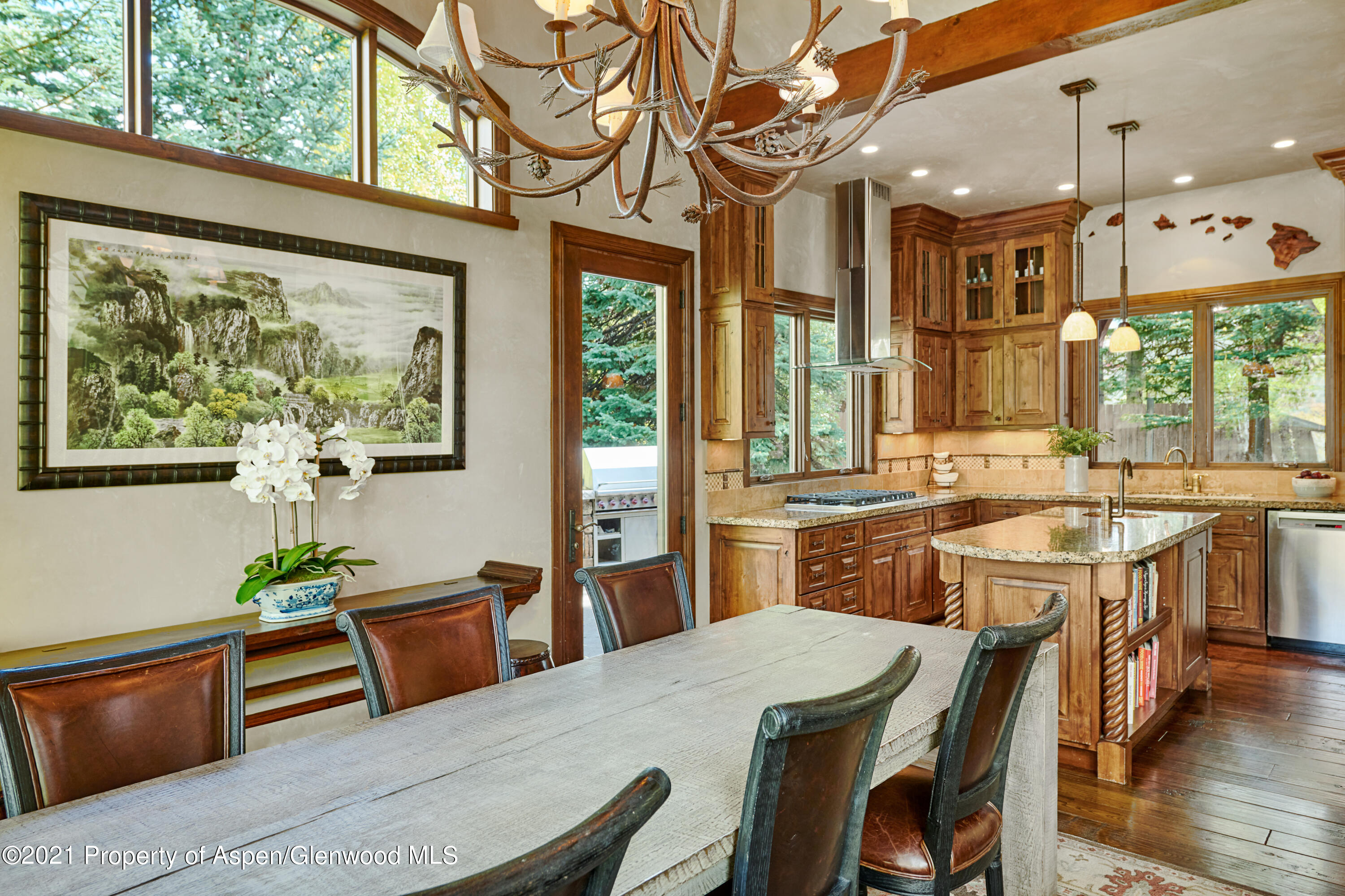 1232 Mountain View Drive Aspen CO 81611