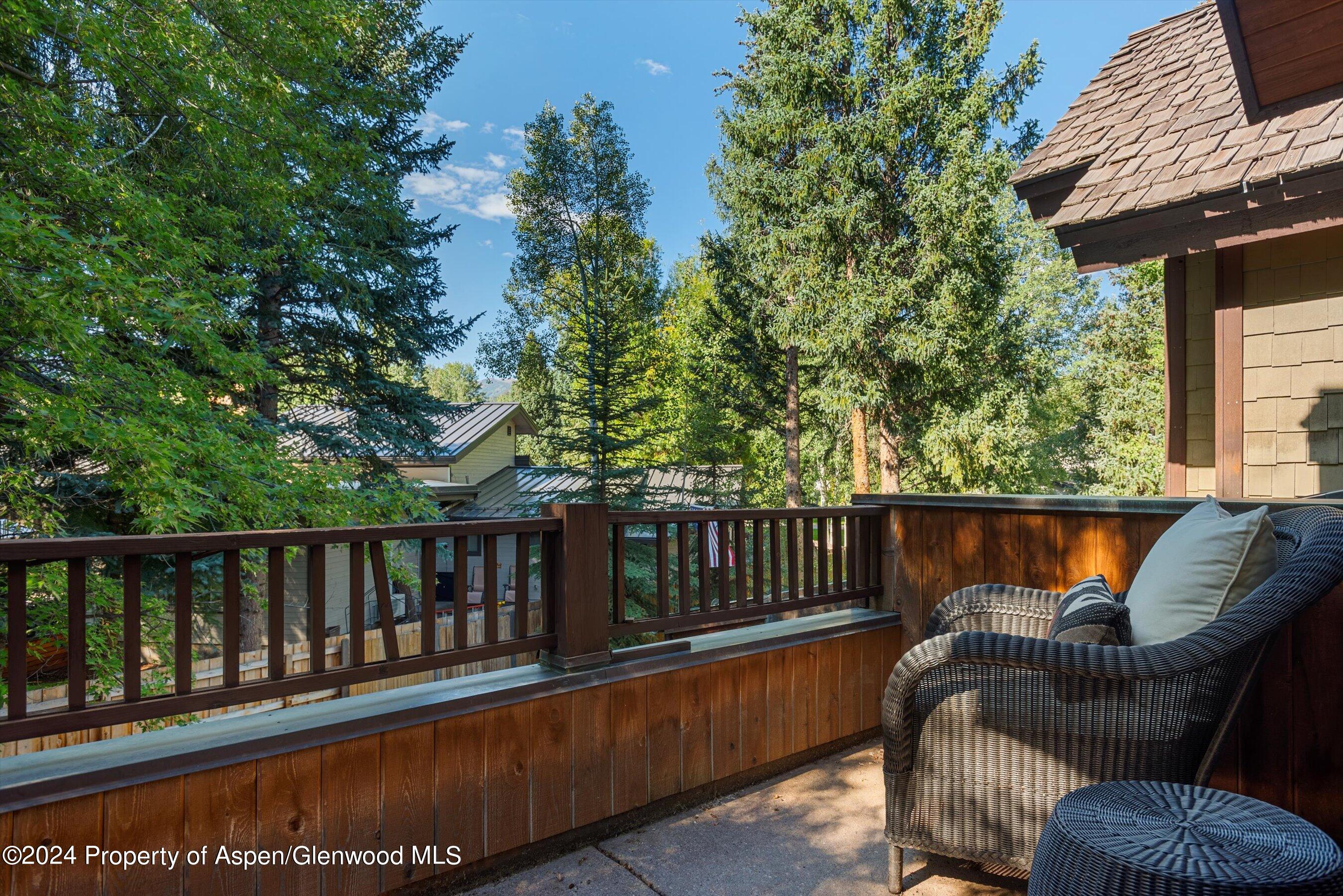 1232 Mountain View Drive Aspen CO 81611