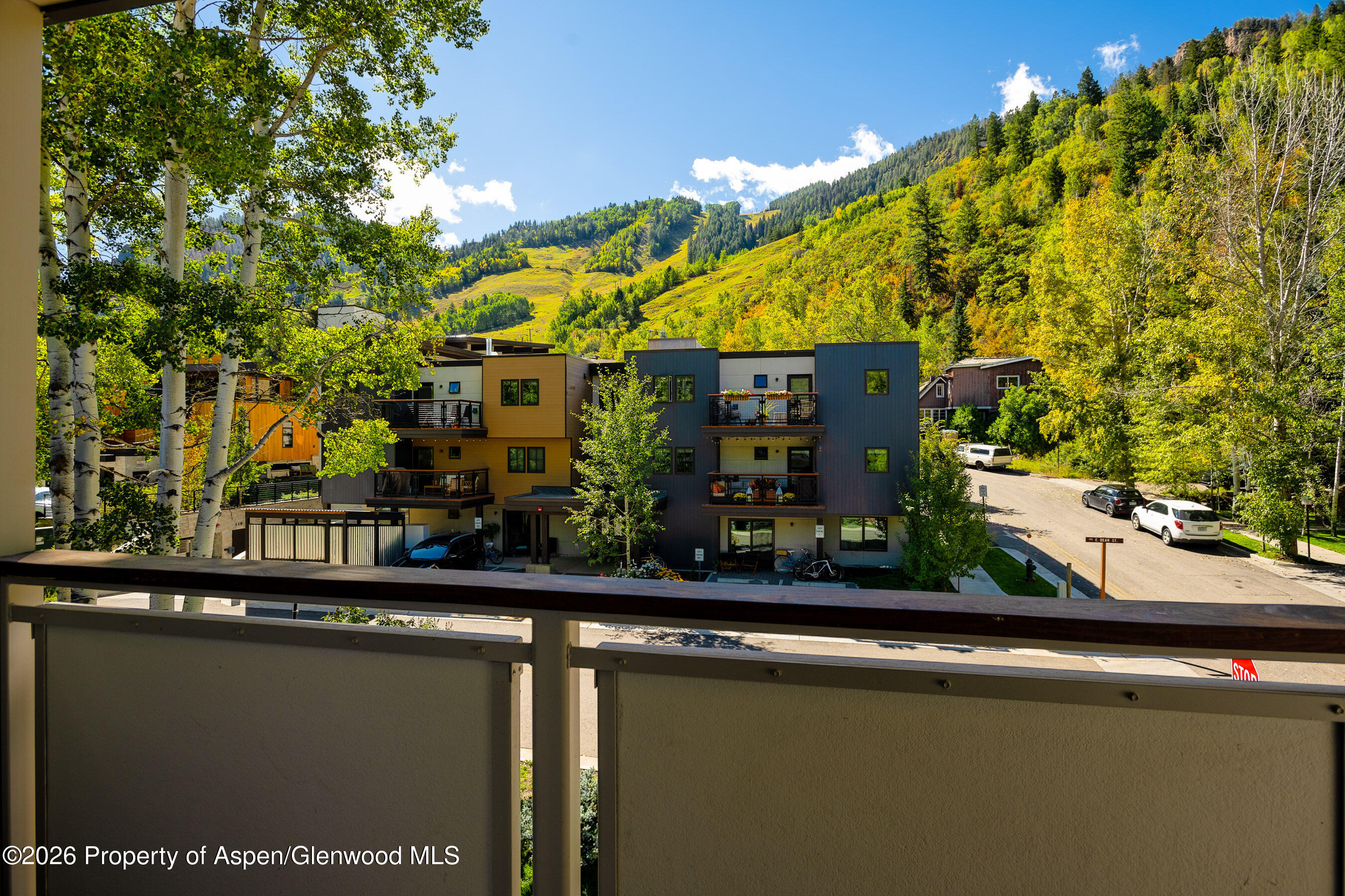 100 E Dean Street Aspen CO 81611