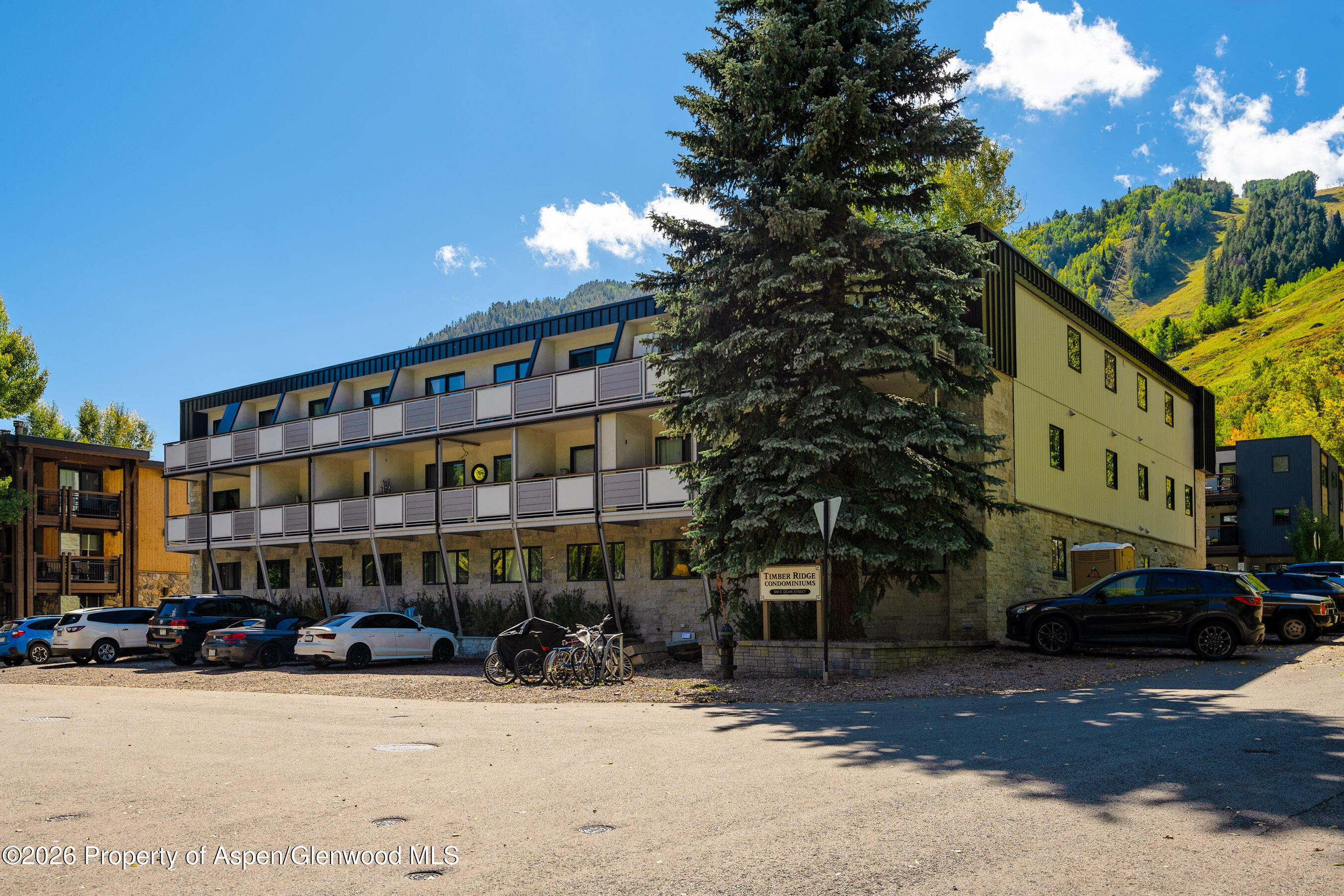 100 E Dean Street Aspen CO 81611
