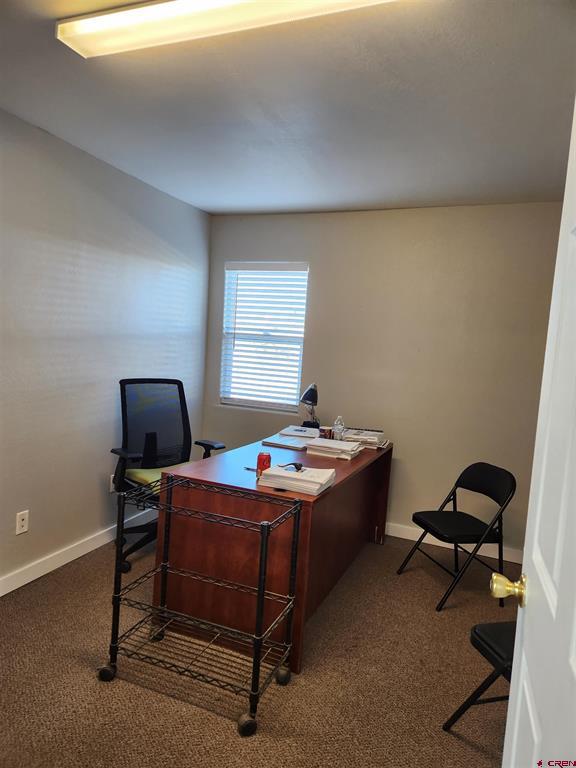 445 Kristen Court Montrose CO 81401