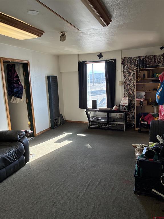 701 San Juan Avenue Alamosa CO 81101