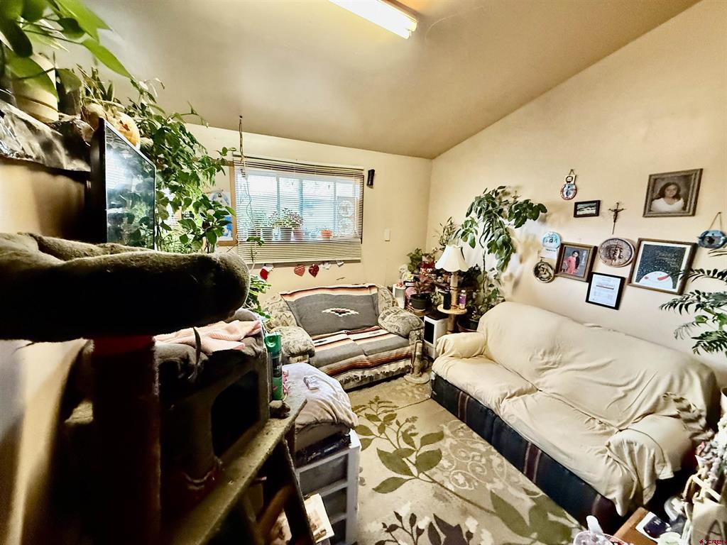 750 Grand Avenue Del Norte CO 81154
