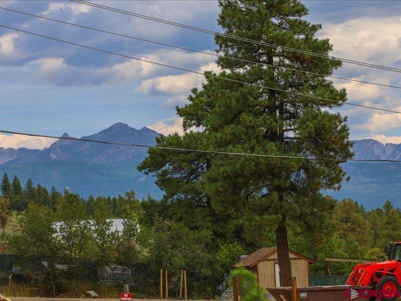 21 Pike Drive Pagosa Springs CO 81147