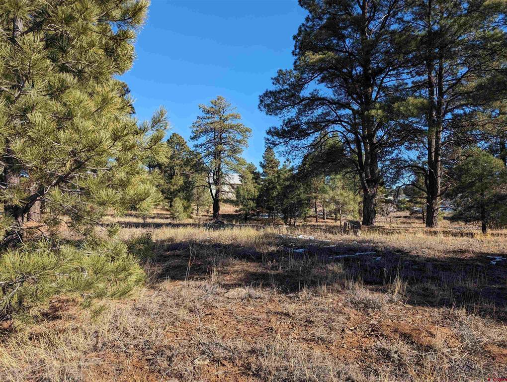 129 & 147 Park Avenue Pagosa Springs CO 81147