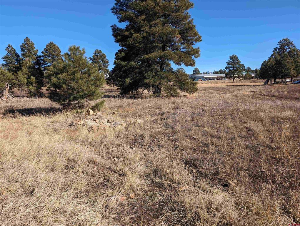 129 & 147 Park Avenue Pagosa Springs CO 81147