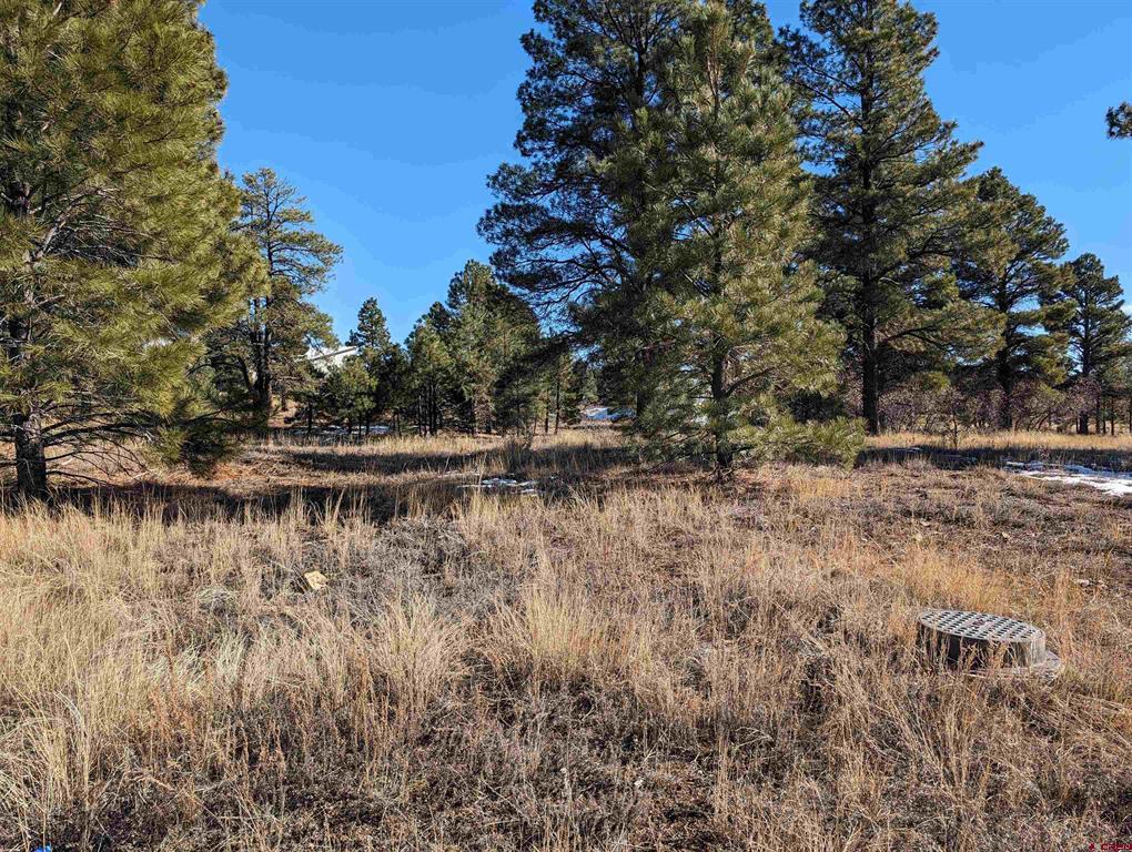 129 & 147 Park Avenue Pagosa Springs CO 81147