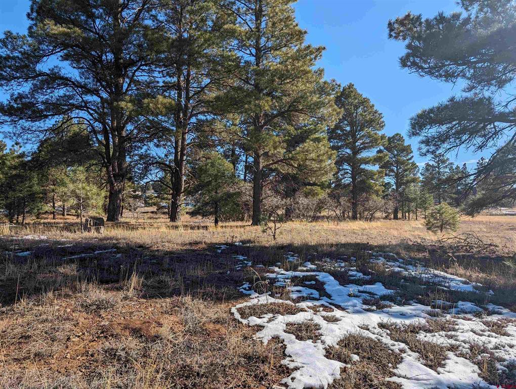 129 & 147 Park Avenue Pagosa Springs CO 81147