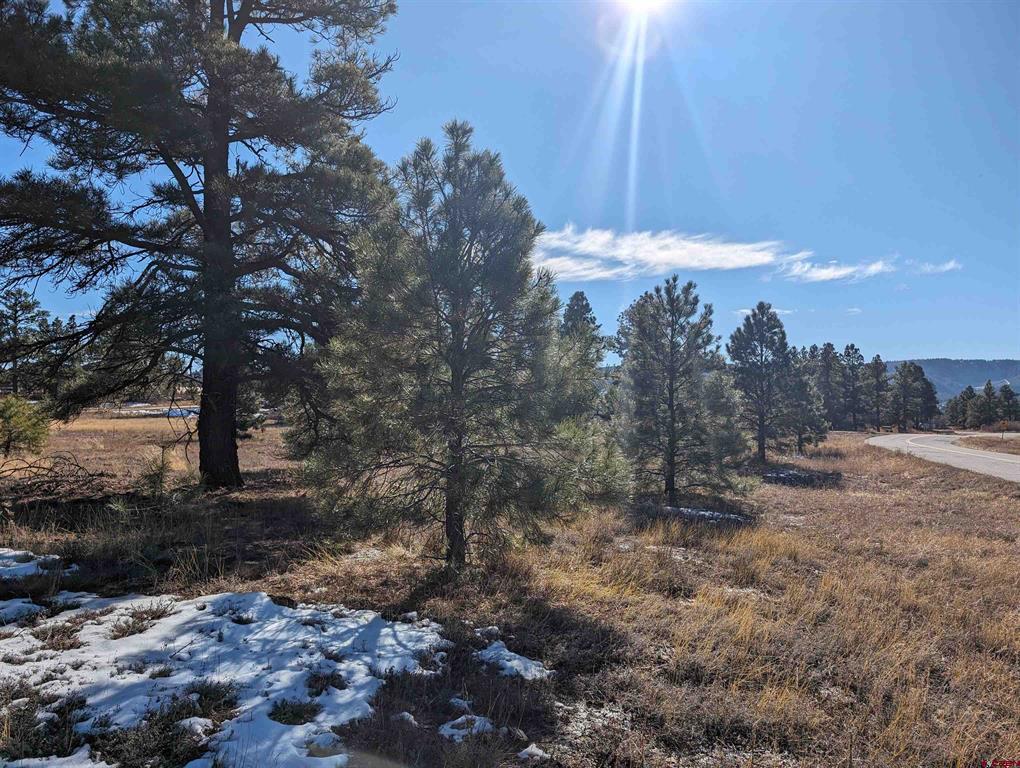 129 & 147 Park Avenue Pagosa Springs CO 81147