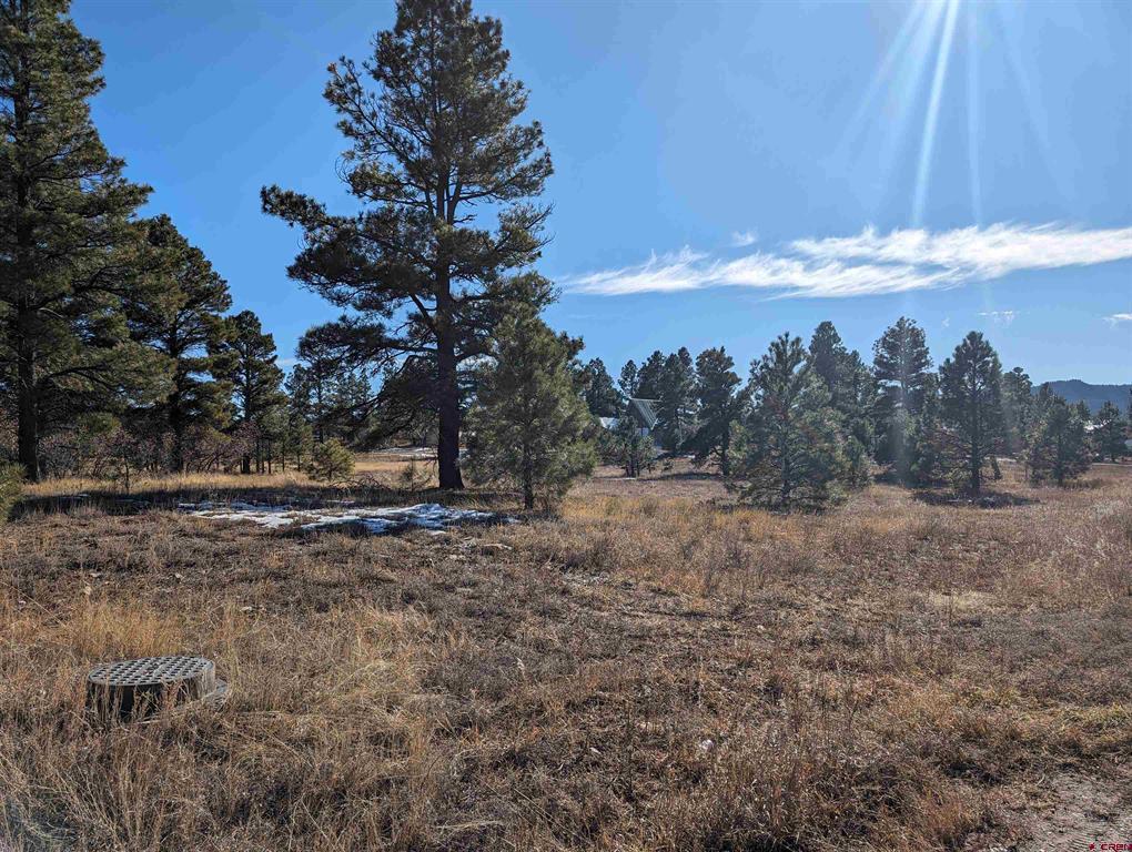 129 & 147 Park Avenue Pagosa Springs CO 81147