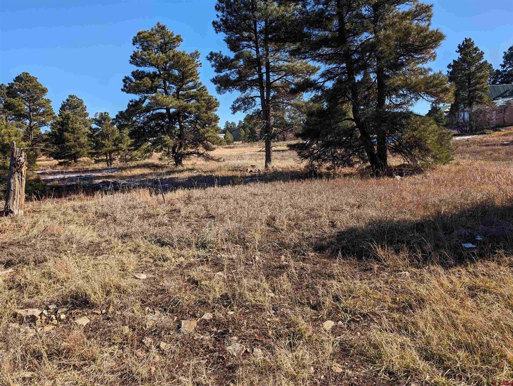 129 & 147 Park Avenue Pagosa Springs CO 81147