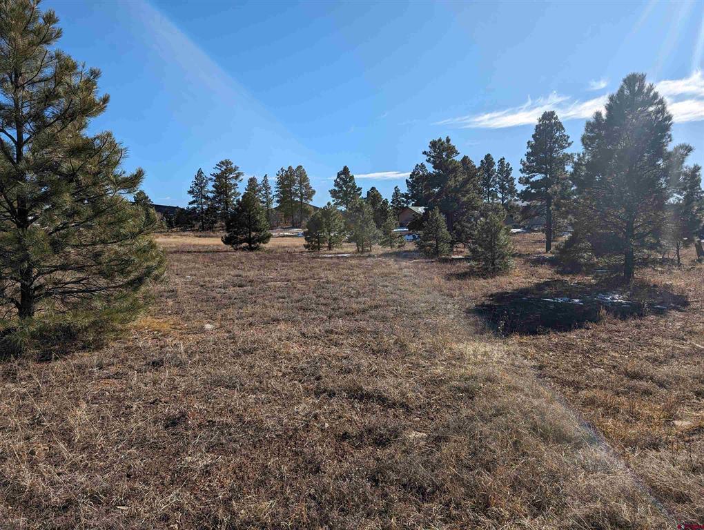 129 & 147 Park Avenue Pagosa Springs CO 81147