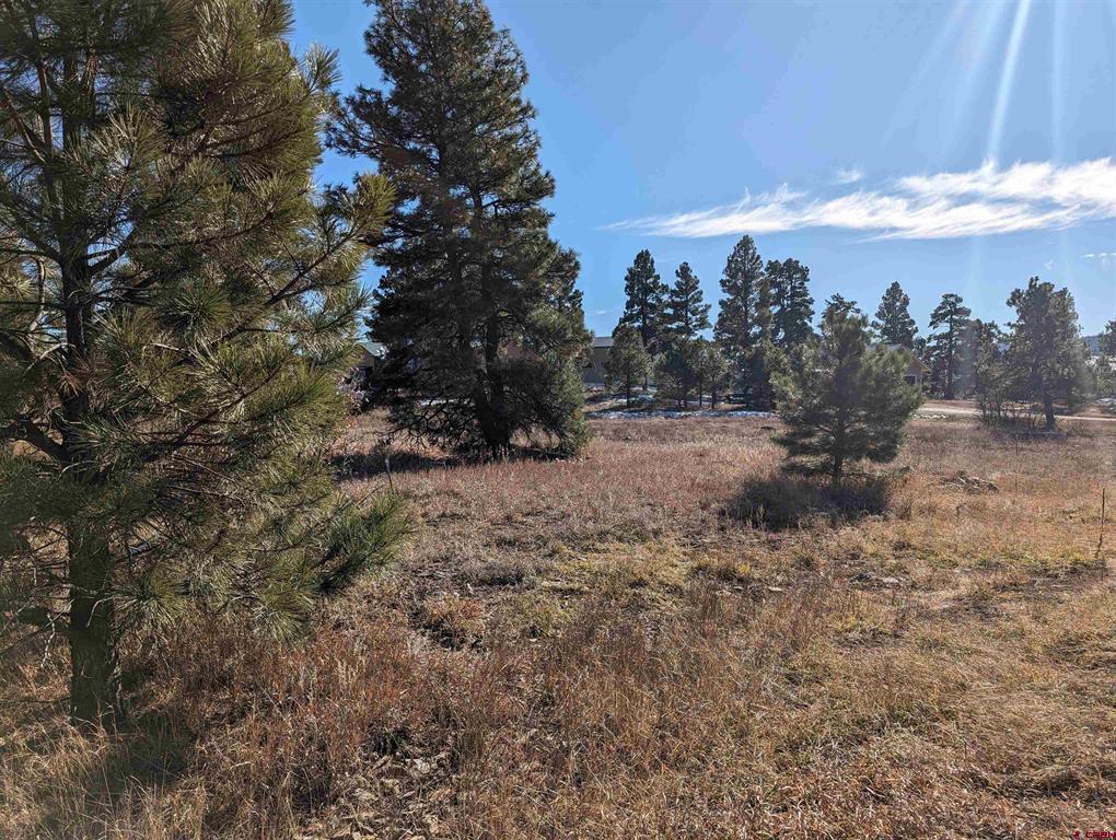 129 & 147 Park Avenue Pagosa Springs CO 81147