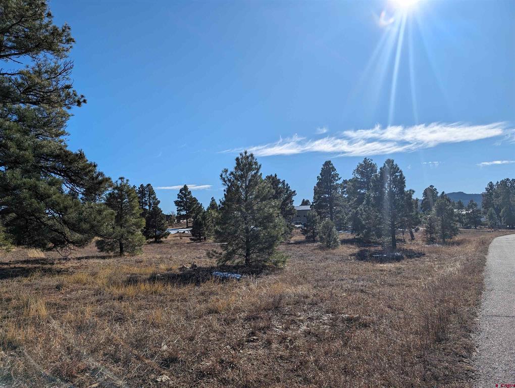 129 & 147 Park Avenue Pagosa Springs CO 81147