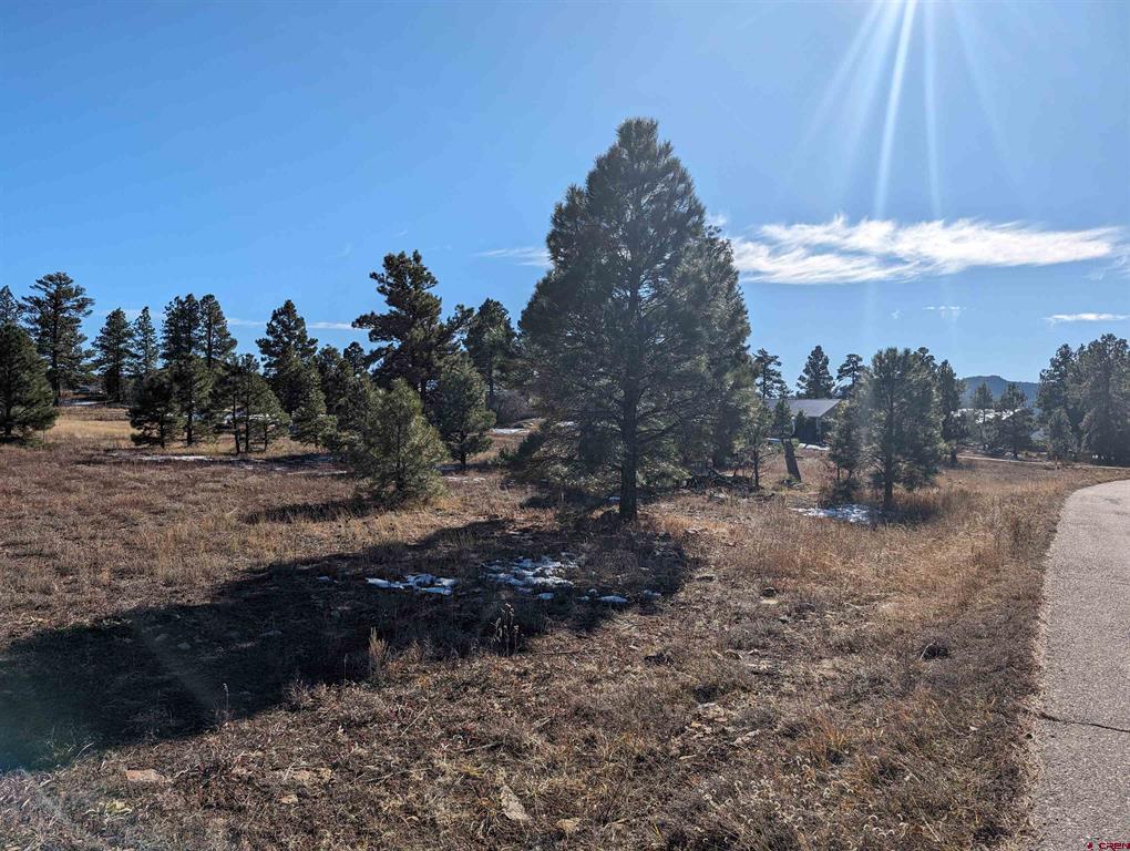 129 & 147 Park Avenue Pagosa Springs CO 81147