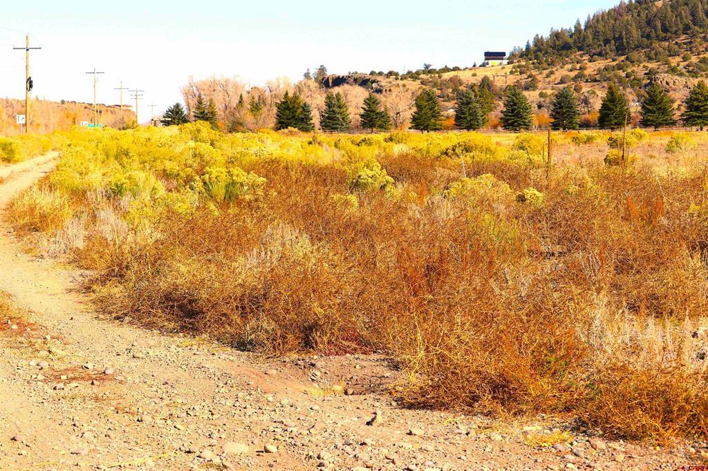0 Park Drive South Fork CO 81154