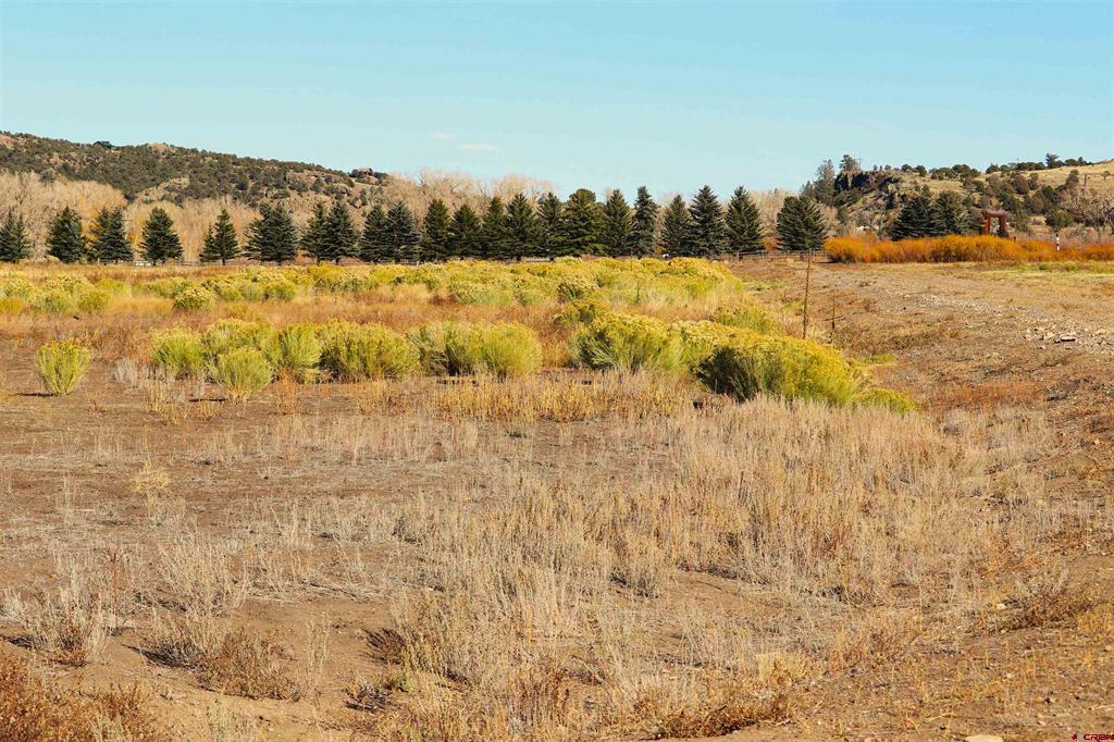 0 Park Drive South Fork CO 81154