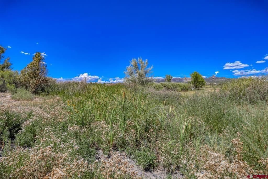 13806 State Highway 151 Arboles CO 81121