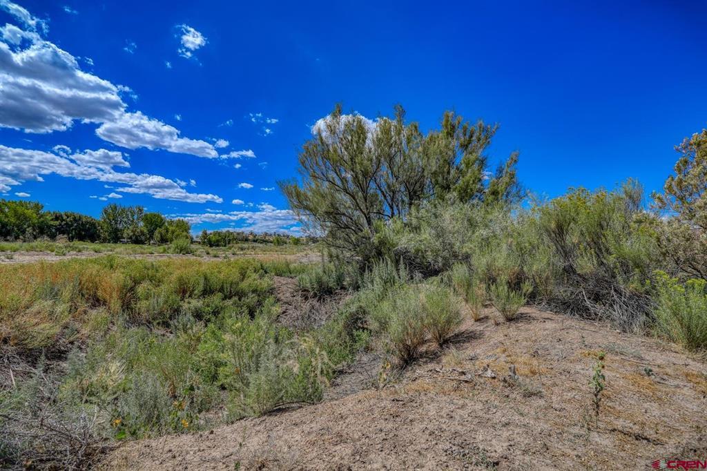 13806 State Highway 151 Arboles CO 81121