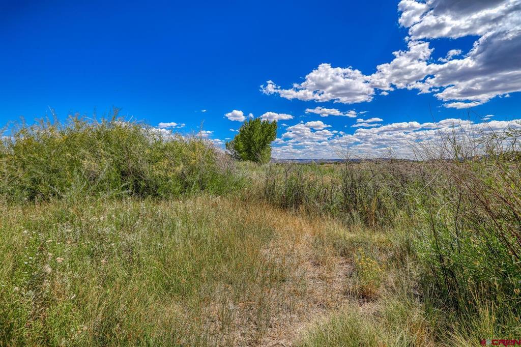 13806 State Highway 151 Arboles CO 81121