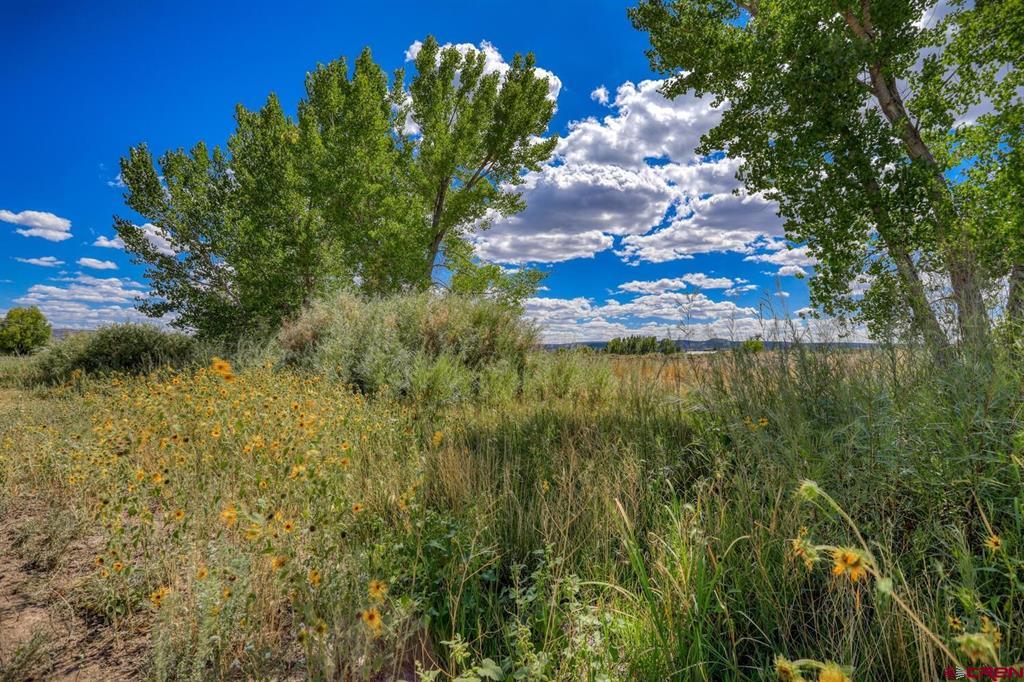 13806 State Highway 151 Arboles CO 81121