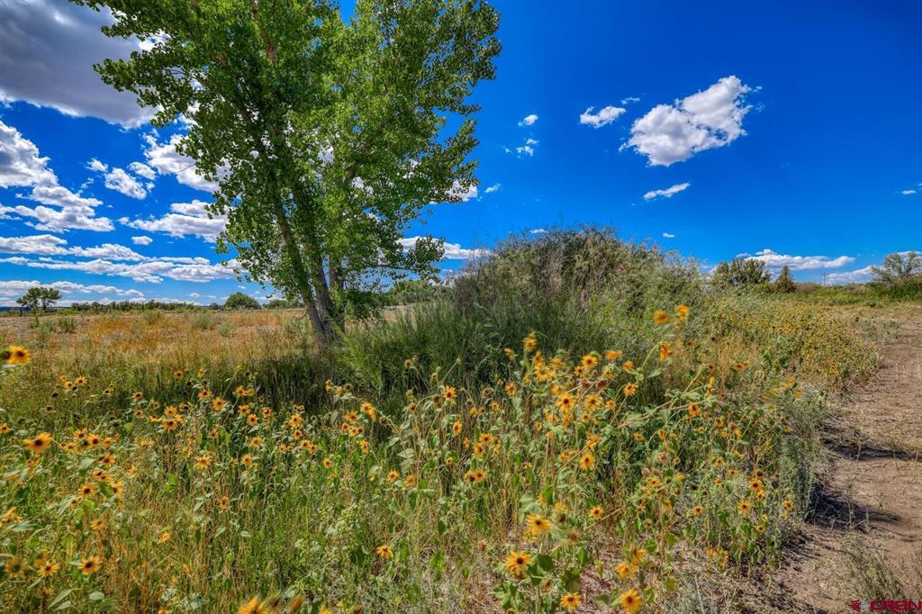 13806 State Highway 151 Arboles CO 81121