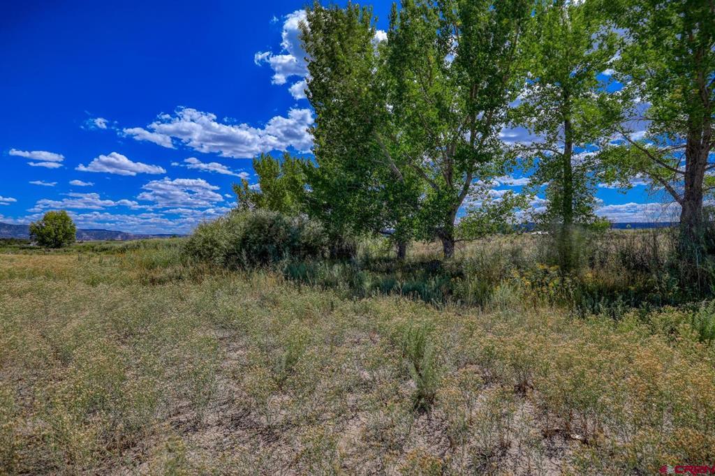 13806 State Highway 151 Arboles CO 81121