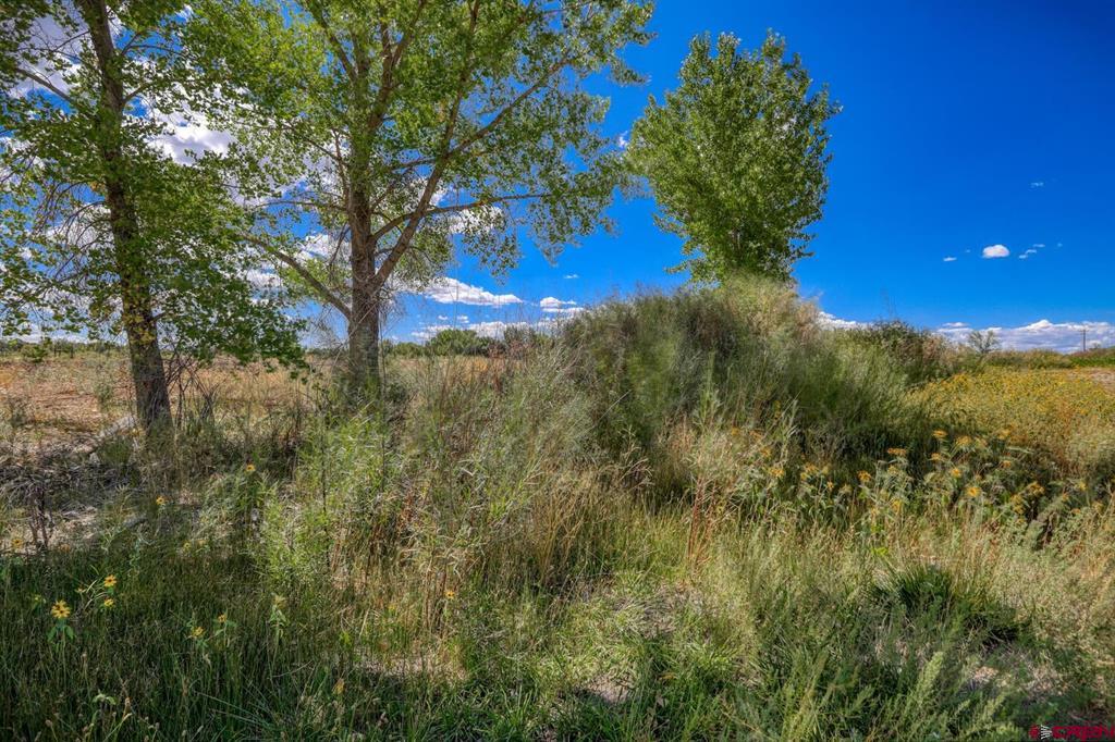 13806 State Highway 151 Arboles CO 81121