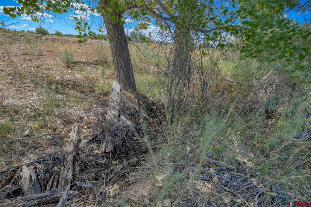 13806 State Highway 151 Arboles CO 81121