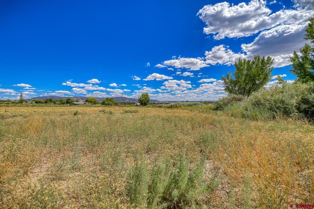 13806 State Highway 151 Arboles CO 81121