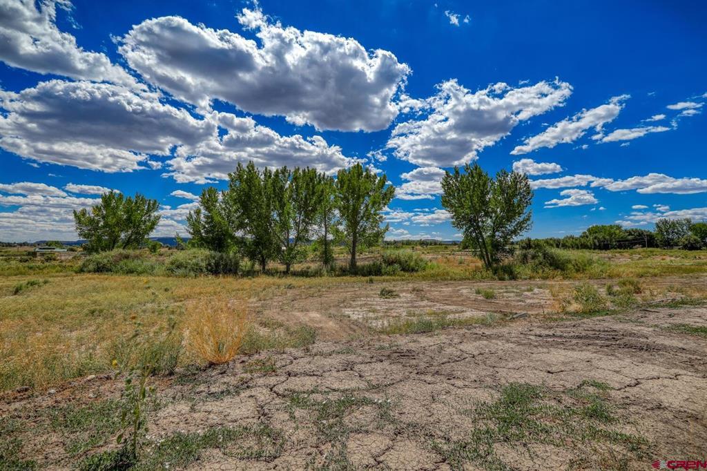 13806 State Highway 151 Arboles CO 81121
