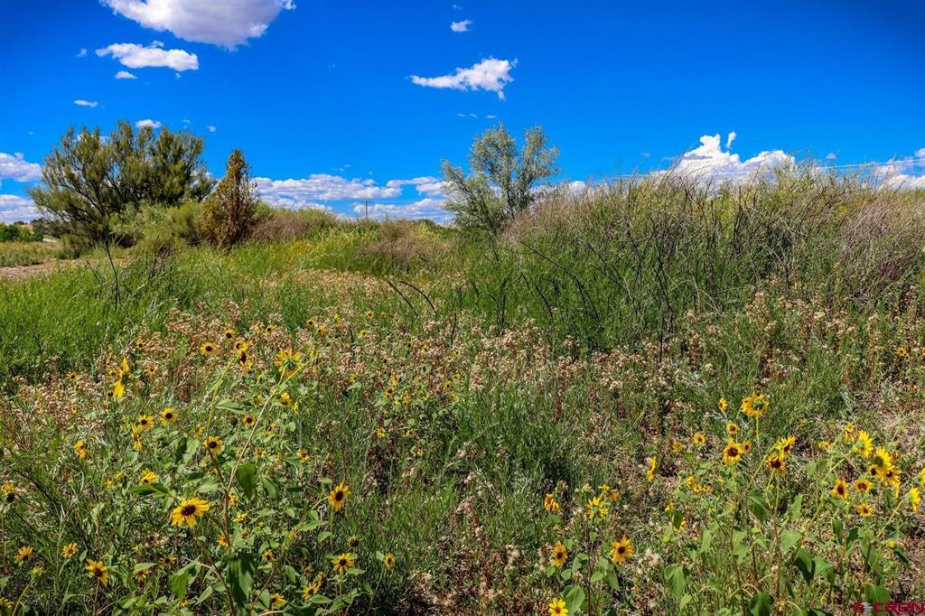 13806 State Highway 151 Arboles CO 81121