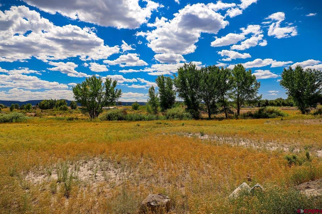13806 State Highway 151 Arboles CO 81121