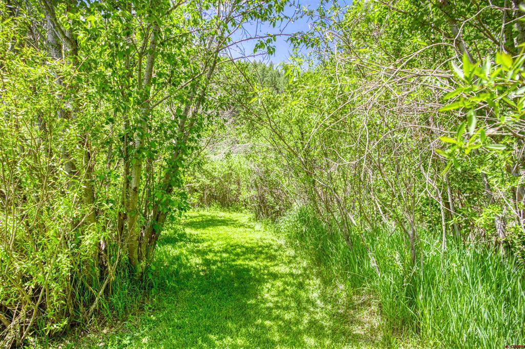 256 County Road 339 Pagosa Springs CO 81147