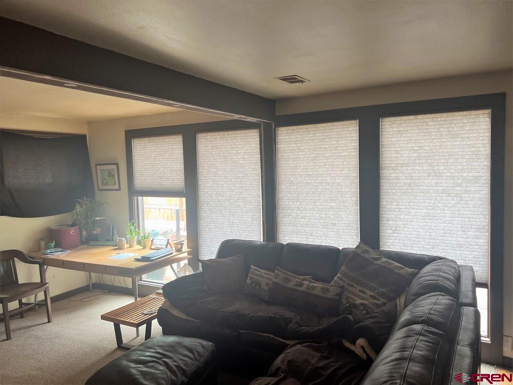 310 N Gunnison Avenue Lake City CO 81235