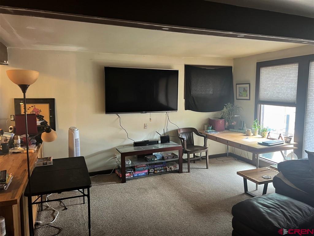 310 N Gunnison Avenue Lake City CO 81235